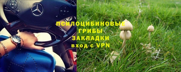 2c-b Кулебаки