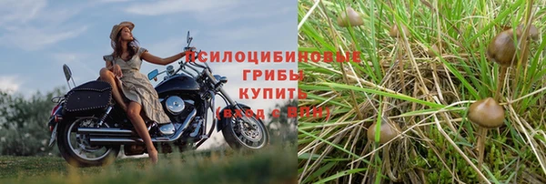 марихуана Лабытнанги